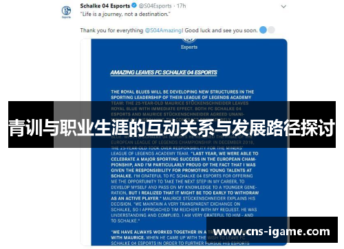 青训与职业生涯的互动关系与发展路径探讨