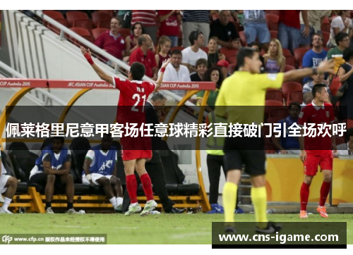 佩莱格里尼意甲客场任意球精彩直接破门引全场欢呼